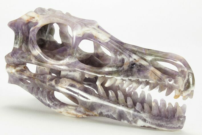 Carved Amethyst Dinosaur Crystal Skull - Ferocious! #227045